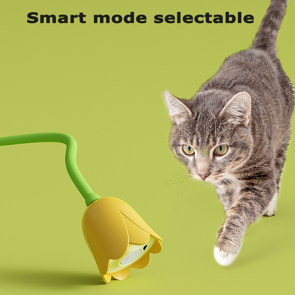 İnteraktif Kedi Oyuncakları US - Power Tools Cat incelemesi ve fiyatı